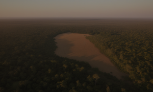 Aerial view of a vast African landscape showing a stark contrast between a dense forest and a deforested area used for agriculture