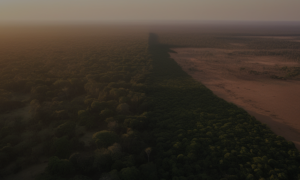 Aerial view of a vast African landscape showing a stark contrast between a dense forest and a deforested area used for agriculture